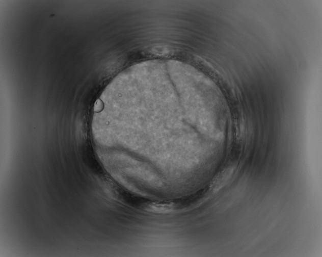 X0000087060606200705161013