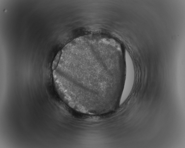 X0000087060609200705161013