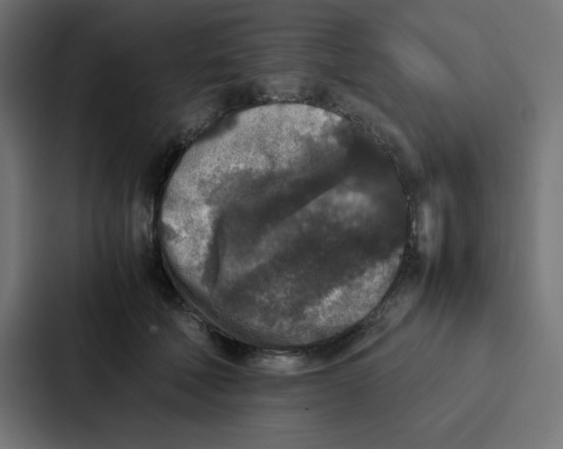 X0000087060610200705161013