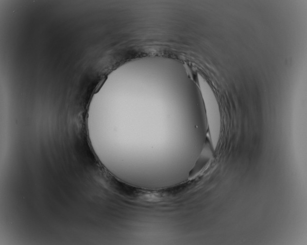 X0000087060611200705161013