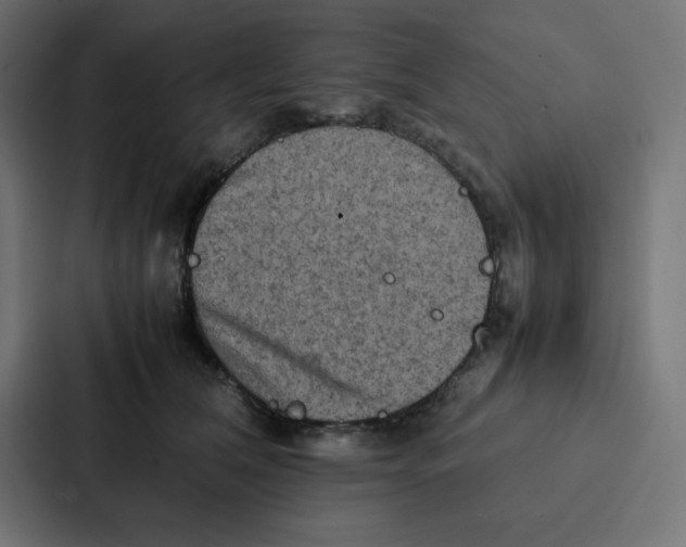 X0000087060612200705161013