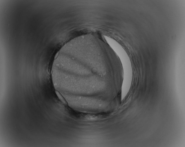 X0000087060613200705161013