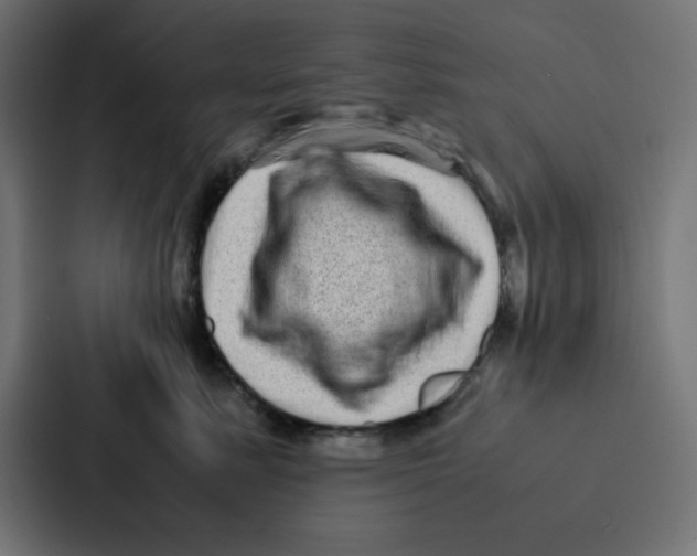 X0000087060619200705161013