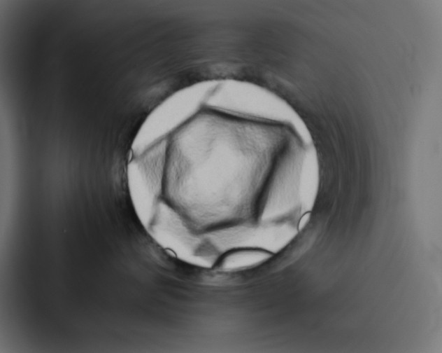 X0000087060624200705161013