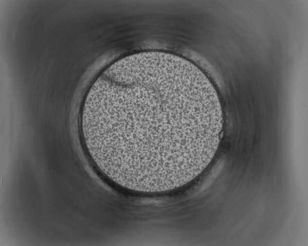 X0000087060625200705161013