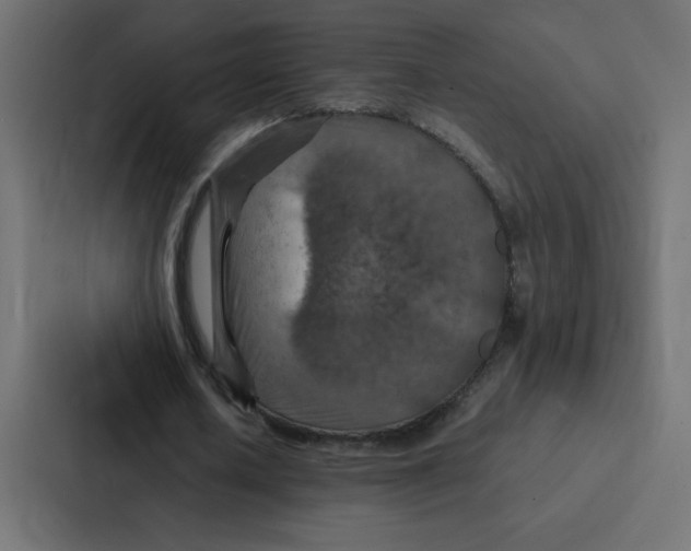 X0000087060626200705161013