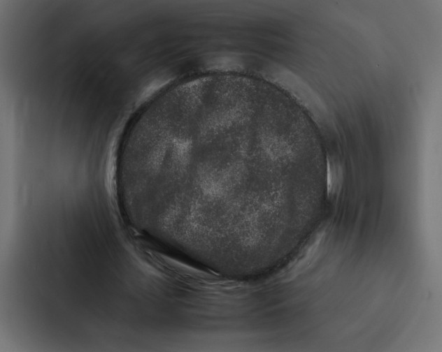 X0000087060627200705161013