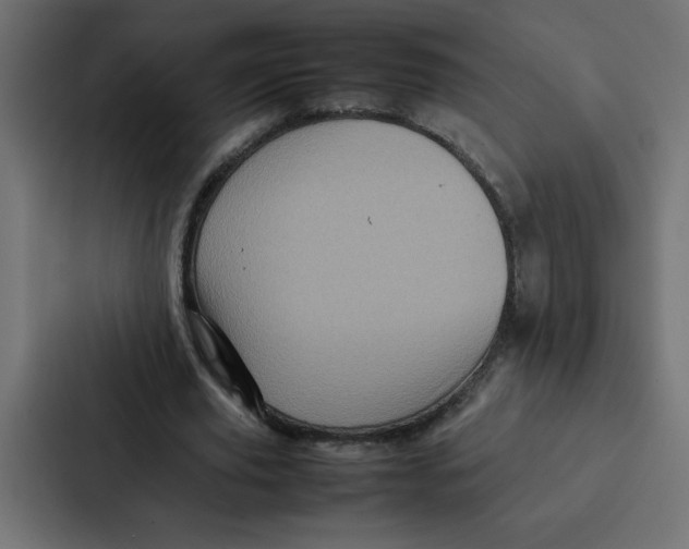 X0000087060629200705161013