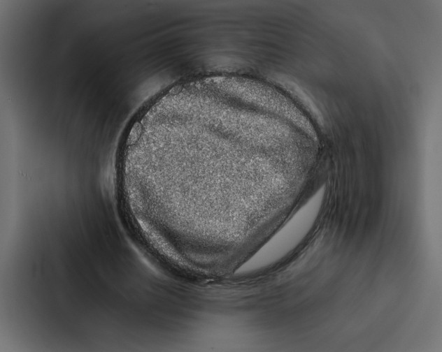 X0000087060630200705161013