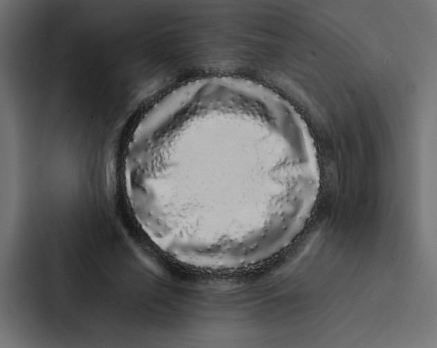 X0000087060638200705161013