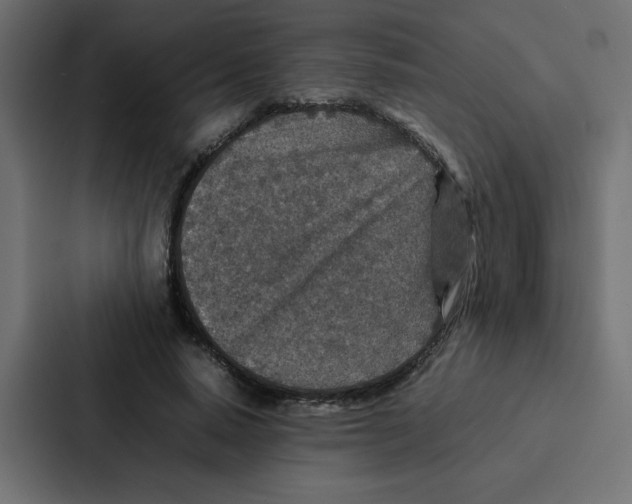 X0000087060640200705161013