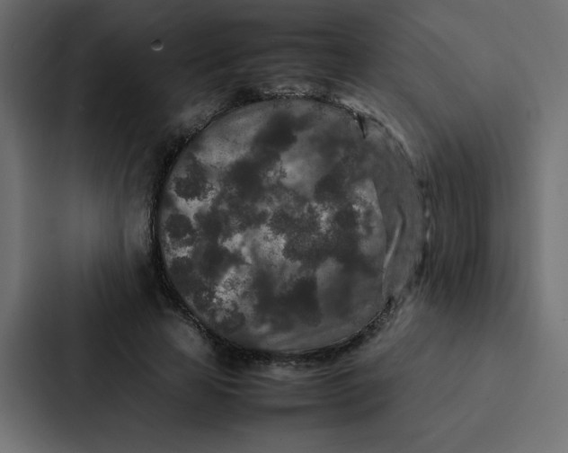 X0000087060641200705161013