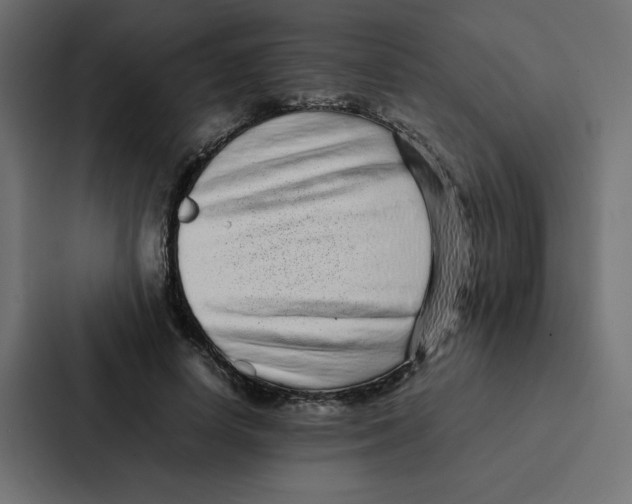 X0000087060642200705161013