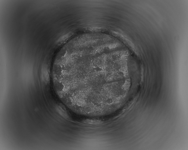 X0000087060644200705161013