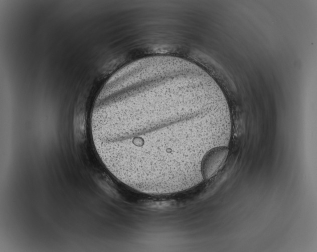 X0000087060646200705161013