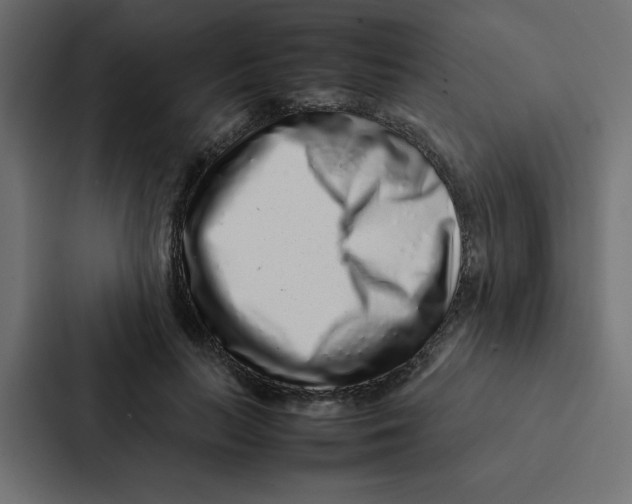 X0000087060647200705161013