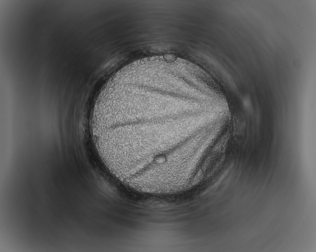 X0000087060648200705161013