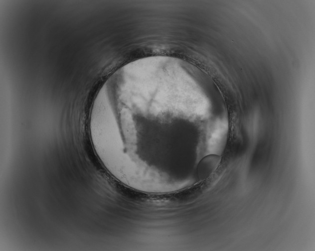 X0000087060650200705161013