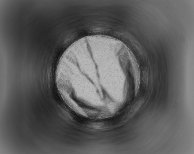 X0000087060653200705161013