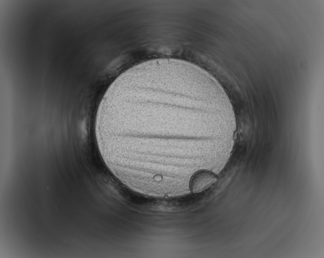 X0000087060656200705161013