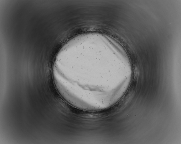 X0000087060657200705161013