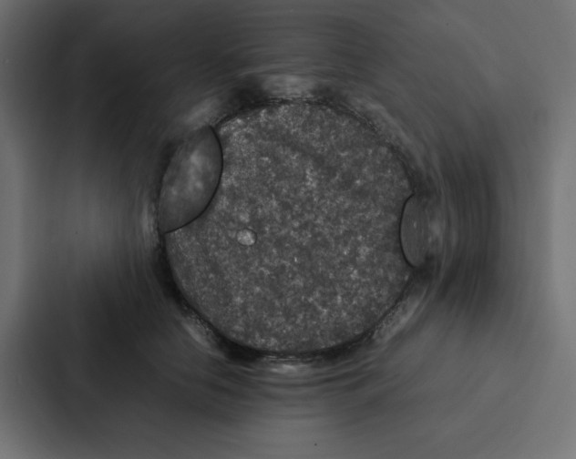 X0000087060658200705161013