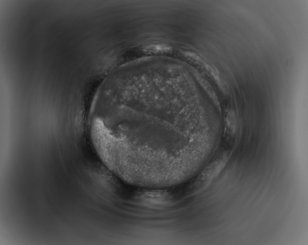 X0000087060659200705161013