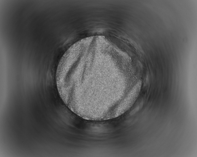 X0000087060661200705161013