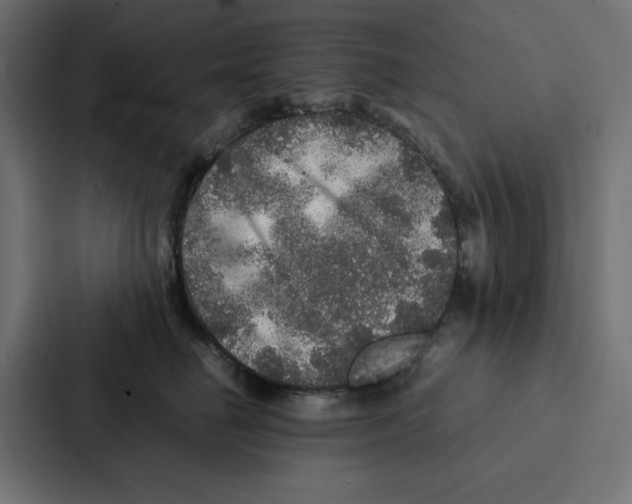 X0000087060662200705161013