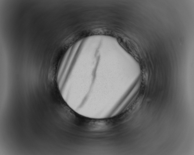 X0000087060665200705161013