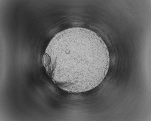 X0000087060666200705161013