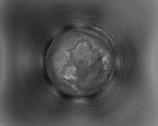 X0000087060667200705161013