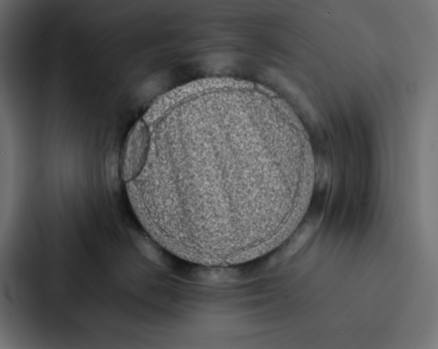 X0000087060670200705161013