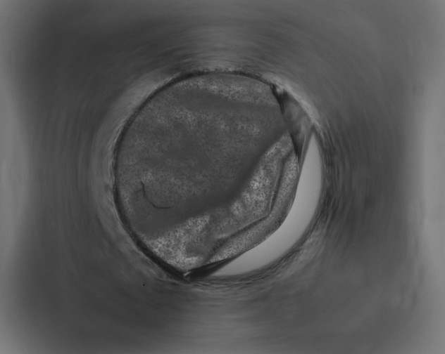 X0000087060673200705161012