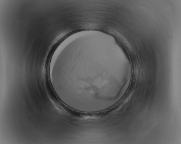 X0000087060674200705161012