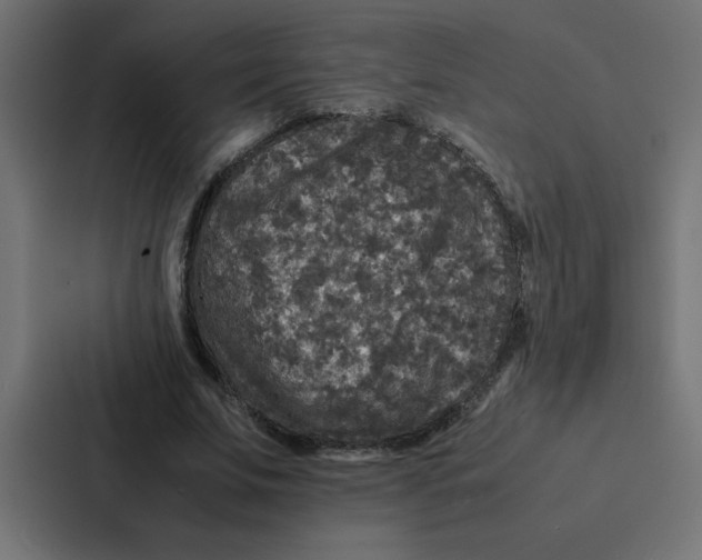 X0000087060679200705161012