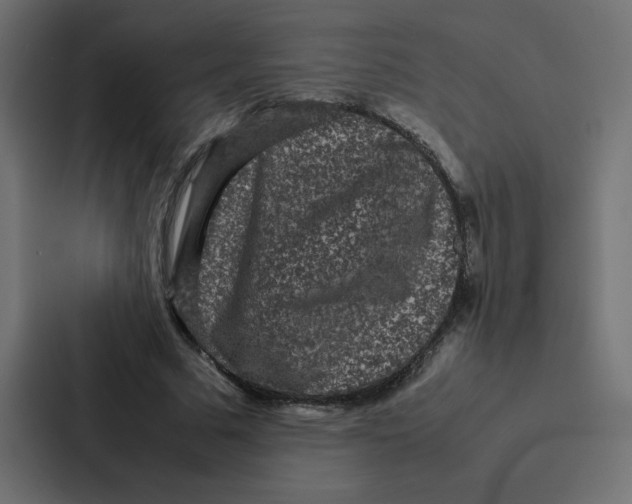 X0000087060681200705161012