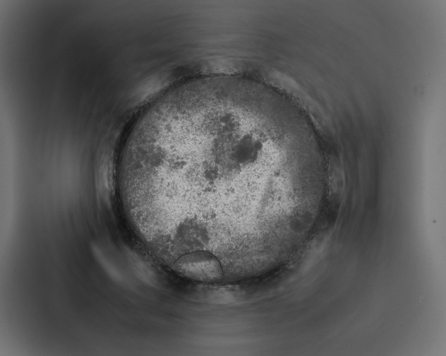 X0000087060683200705161012