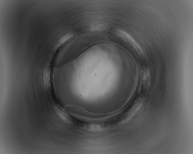 X0000087060684200705161012