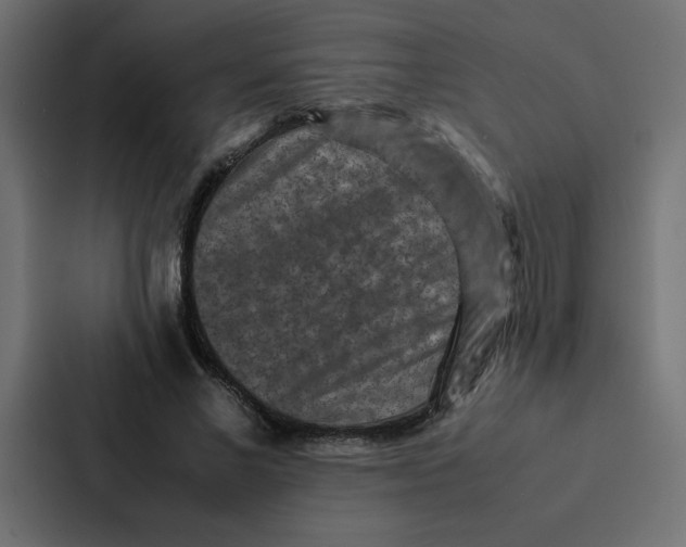 X0000087060685200705161012