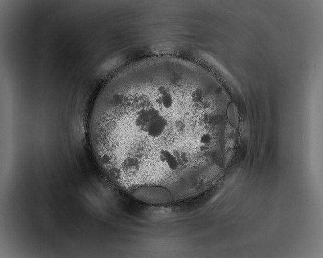 X0000087060687200705161012