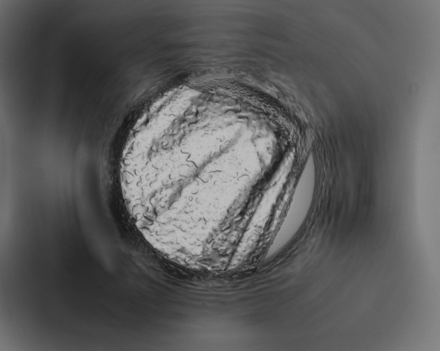 X0000087060691200705161012