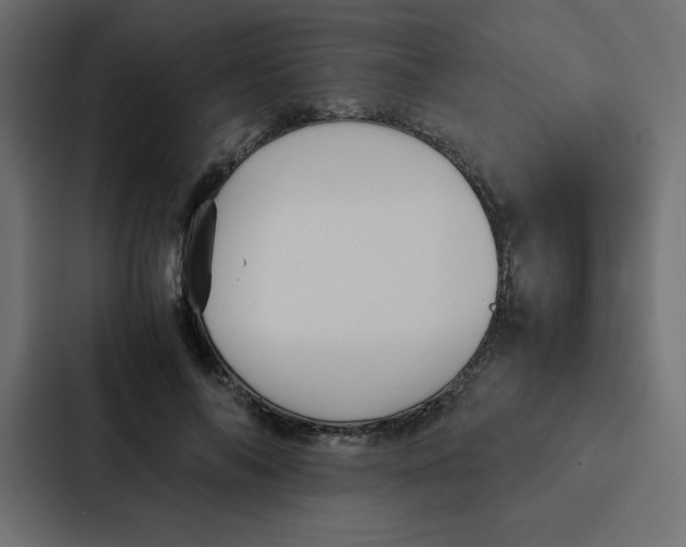 X0000087060694200705161012