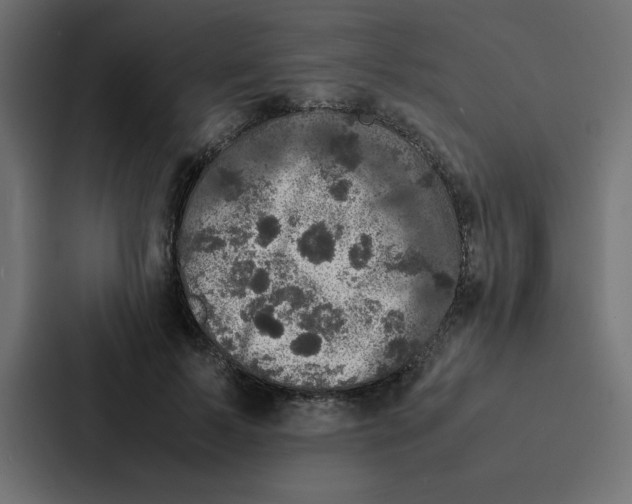 X0000087060695200705161012