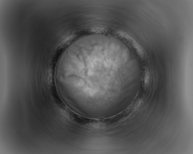 X0000087060696200705161012