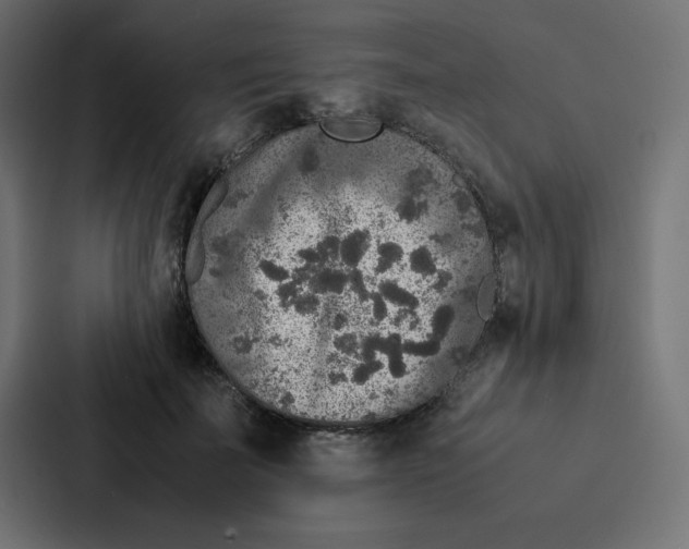 X0000087060699200705161012