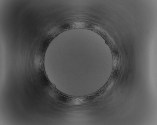 X0000087060701200705161012