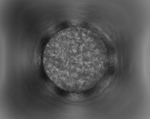 X0000087060703200705161012