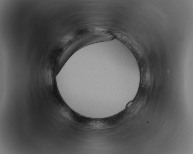 X0000087060704200705161012