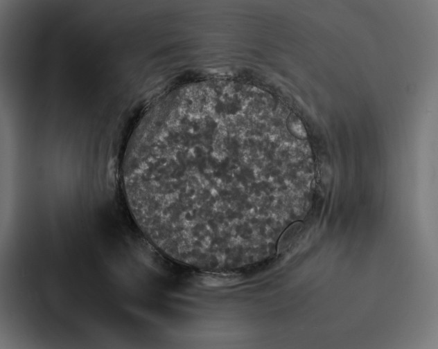 X0000087060707200705161012